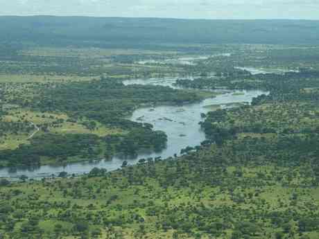 Southern Tanzania Safari Adventure